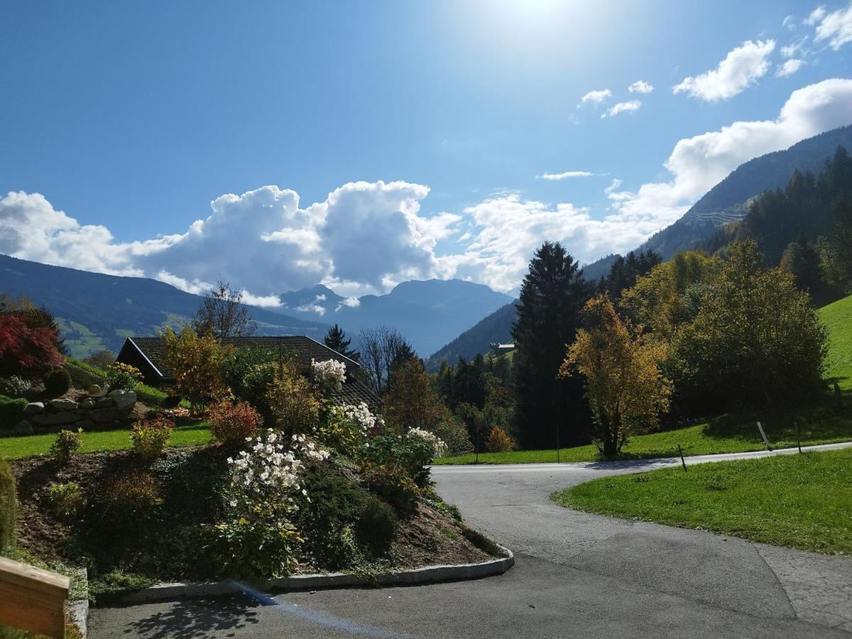 Apart Gerlossteinblick Aschau Im Zillertal Exterior photo