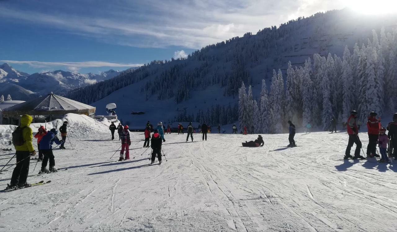 Apart Gerlossteinblick Aschau Im Zillertal Exterior photo